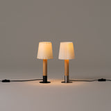 insitu
