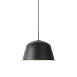 Ambit Pendant Light: Small + Black
