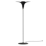 Jazz Champagne Floor Lamp: Black Oak + Black