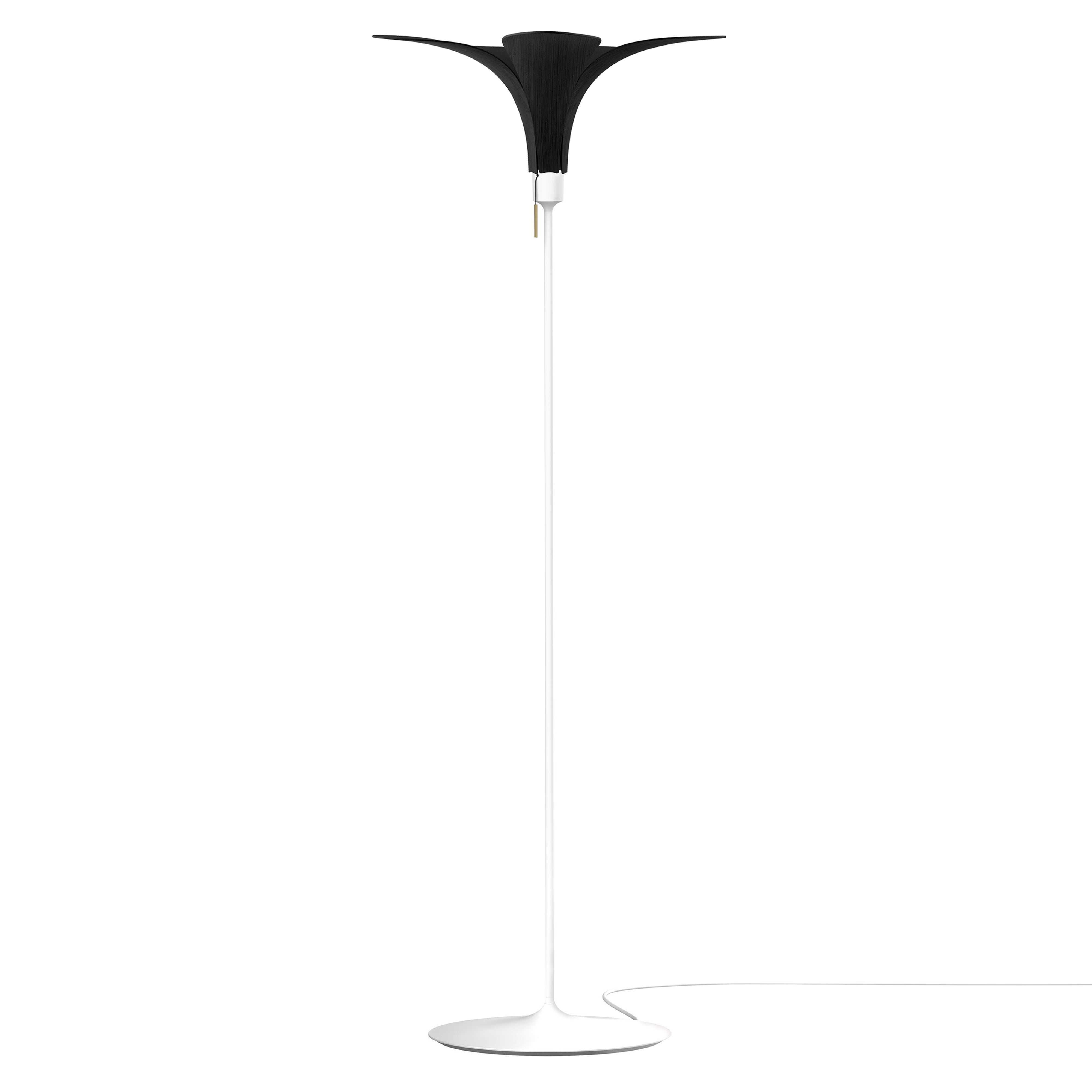 Jazz Champagne Floor Lamp: Black Oak + White