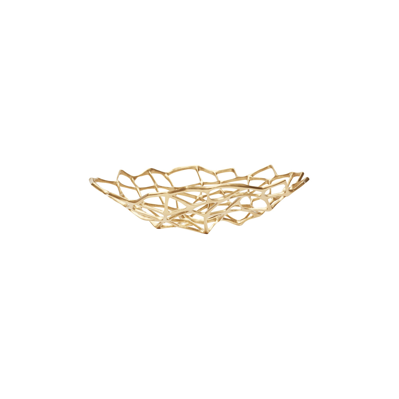 Bone Bowl: Large - 15.4