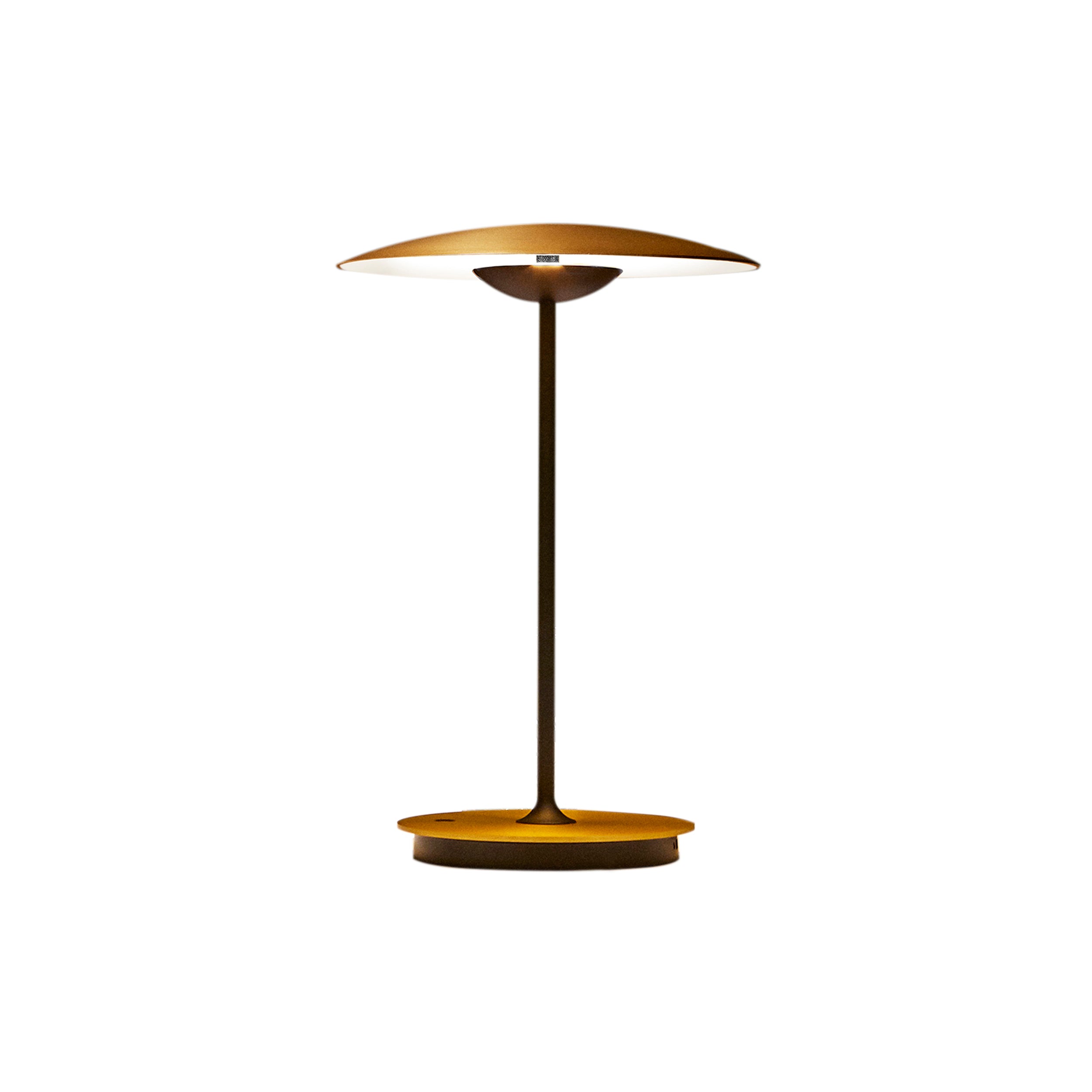 Ginger Portable Table Lamp