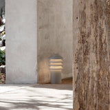 insitu