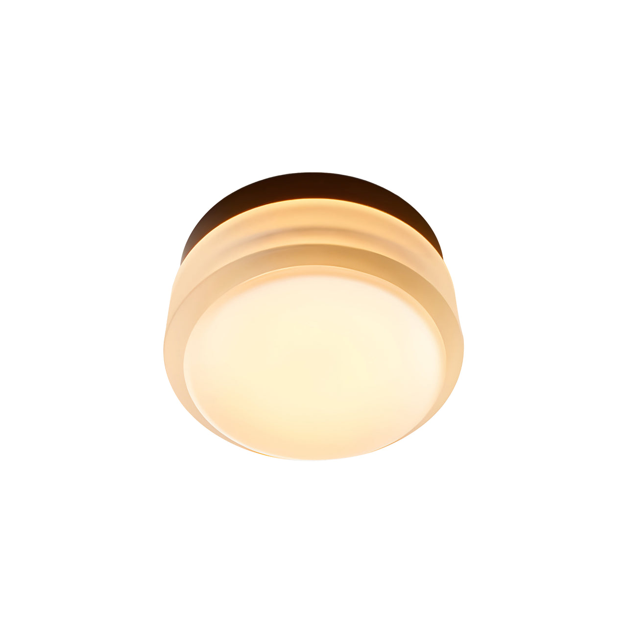 Copia Flush Mount: Frosted + Black Anodized