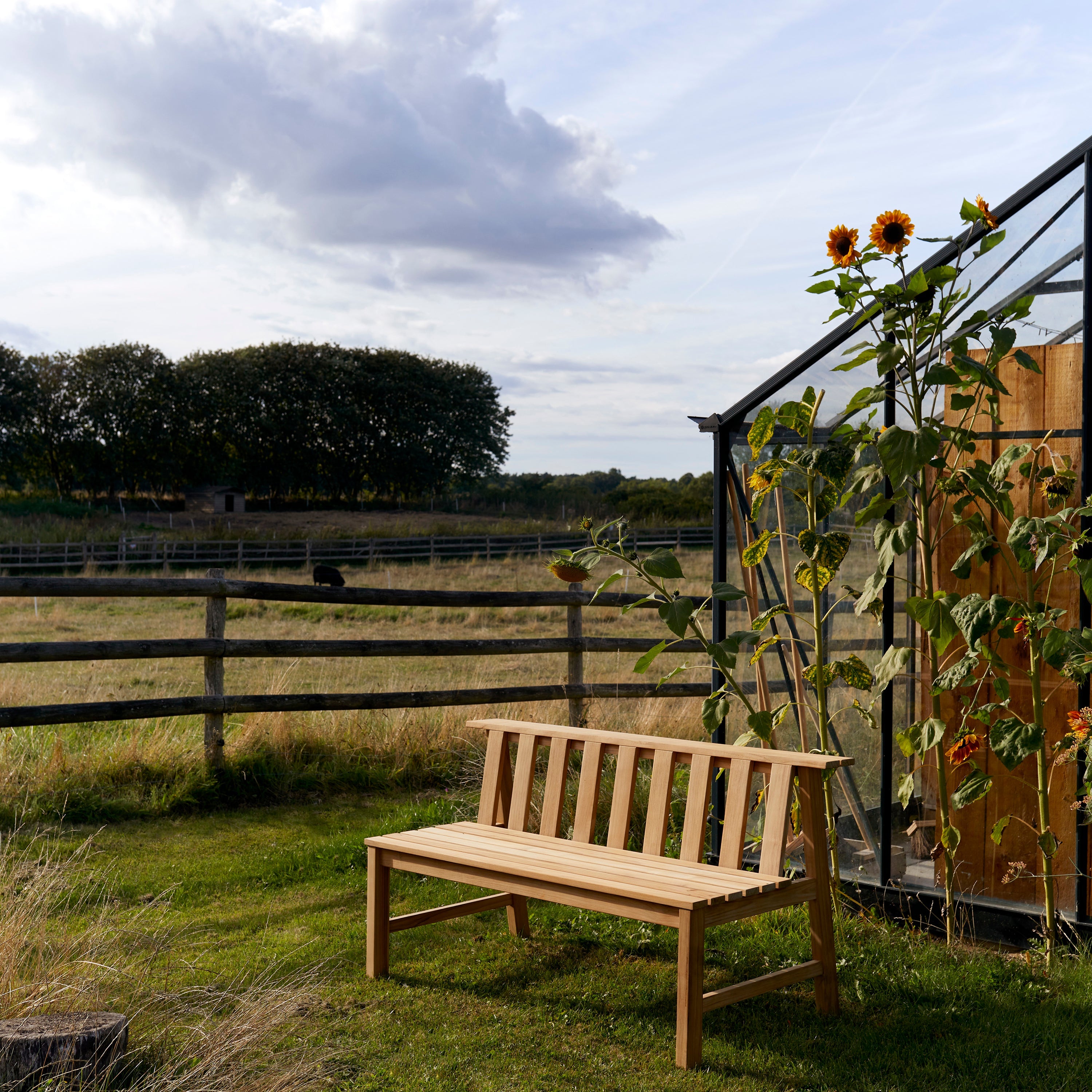 Cadence Bench