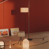 insitu