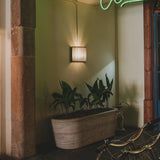 insitu