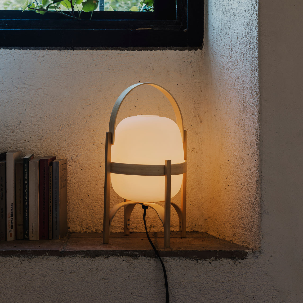 insitu