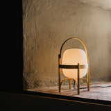 insitu