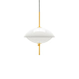 Clam Pendant: Small - 17.3