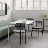 Coco Dining Armchair: LS