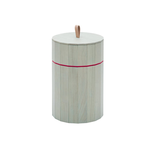 Colour Bin Storage Containers: Large - 8.8