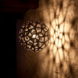 insitu