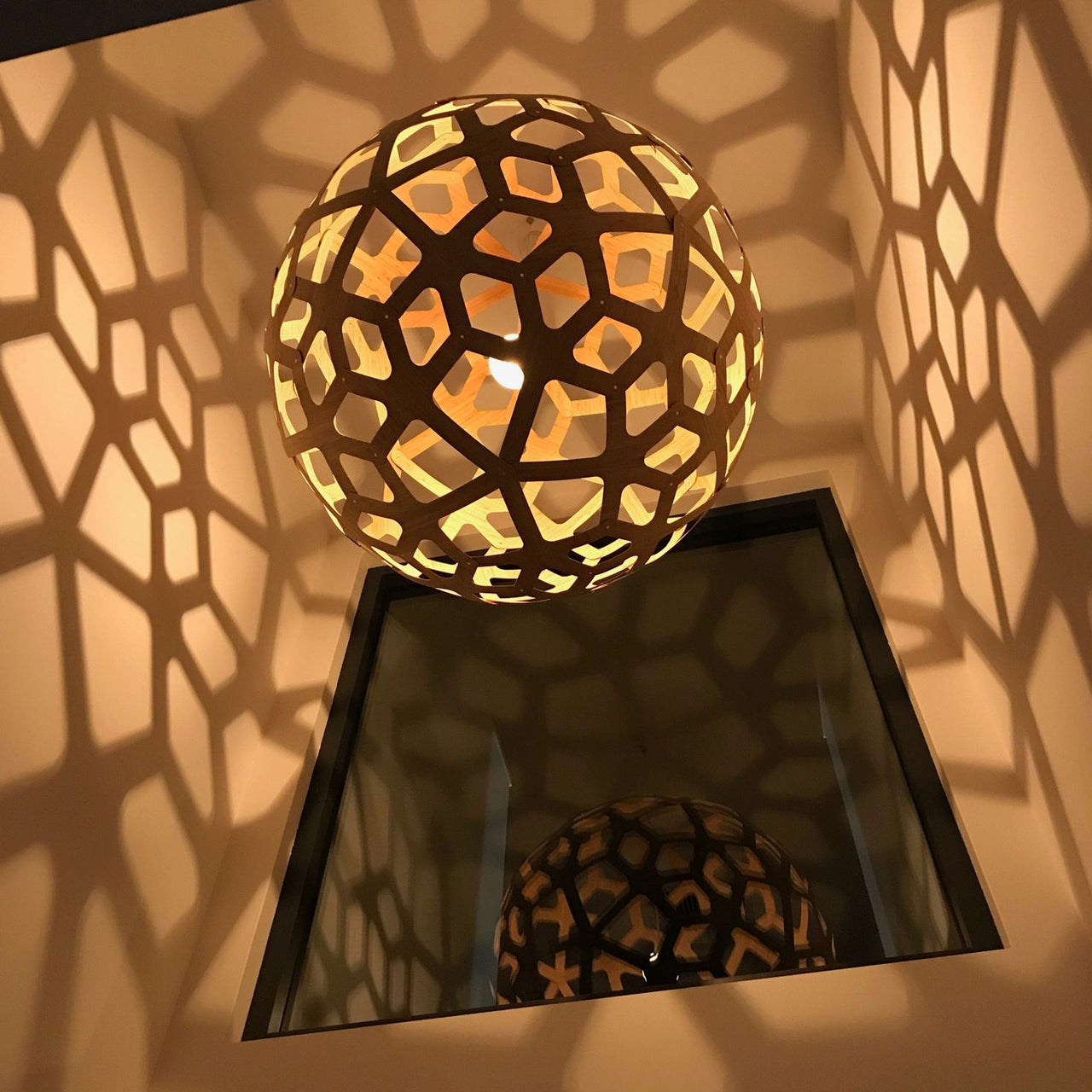 insitu