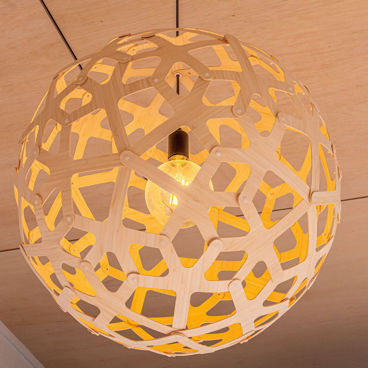 Coral Pendant Light: Large + LS