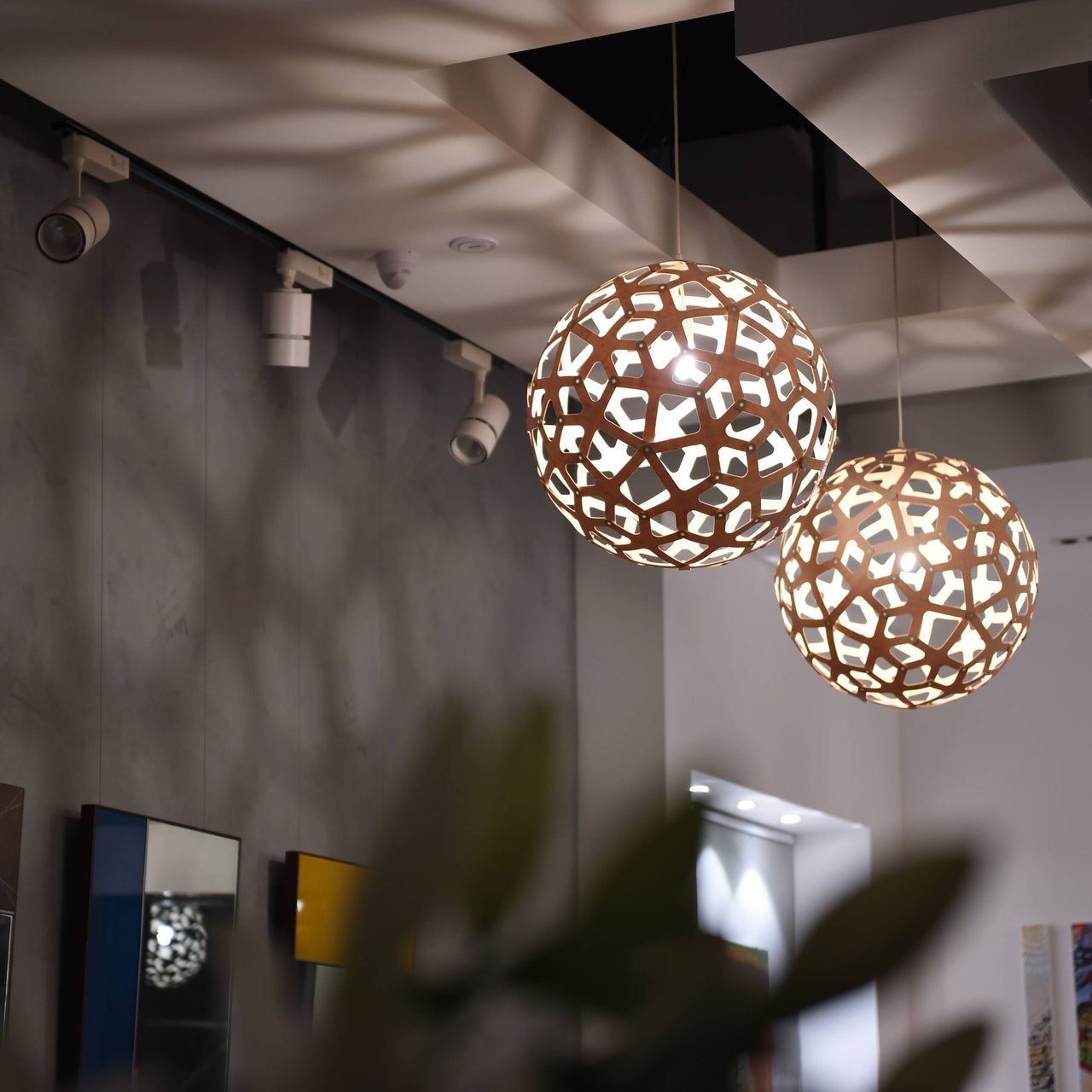 Coral Pendant Light: Large + LS