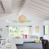 Coral Pendant Light: Small + LS