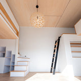 Coral Pendant Light: Small + LS