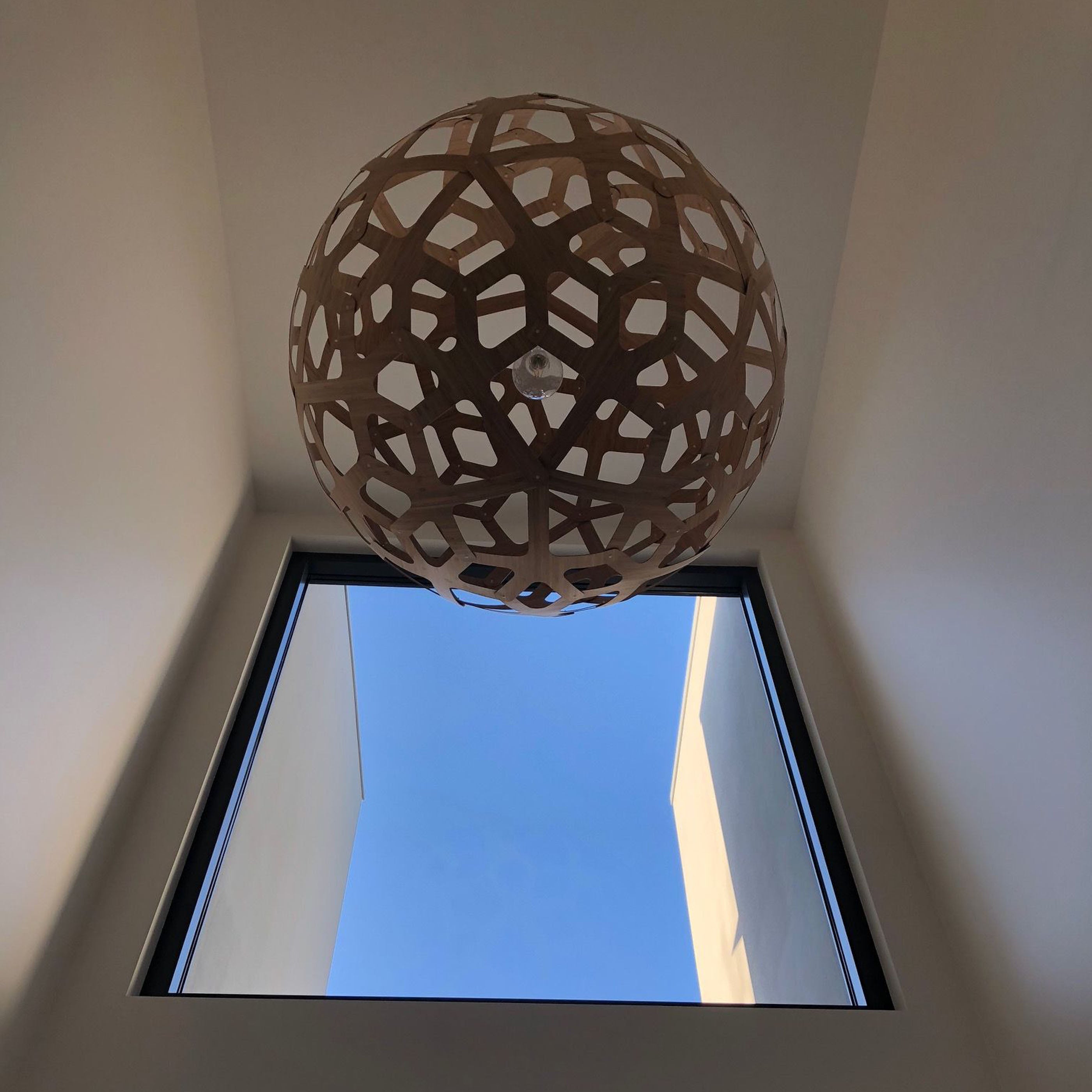 Coral Pendant Light: XX Large + LS