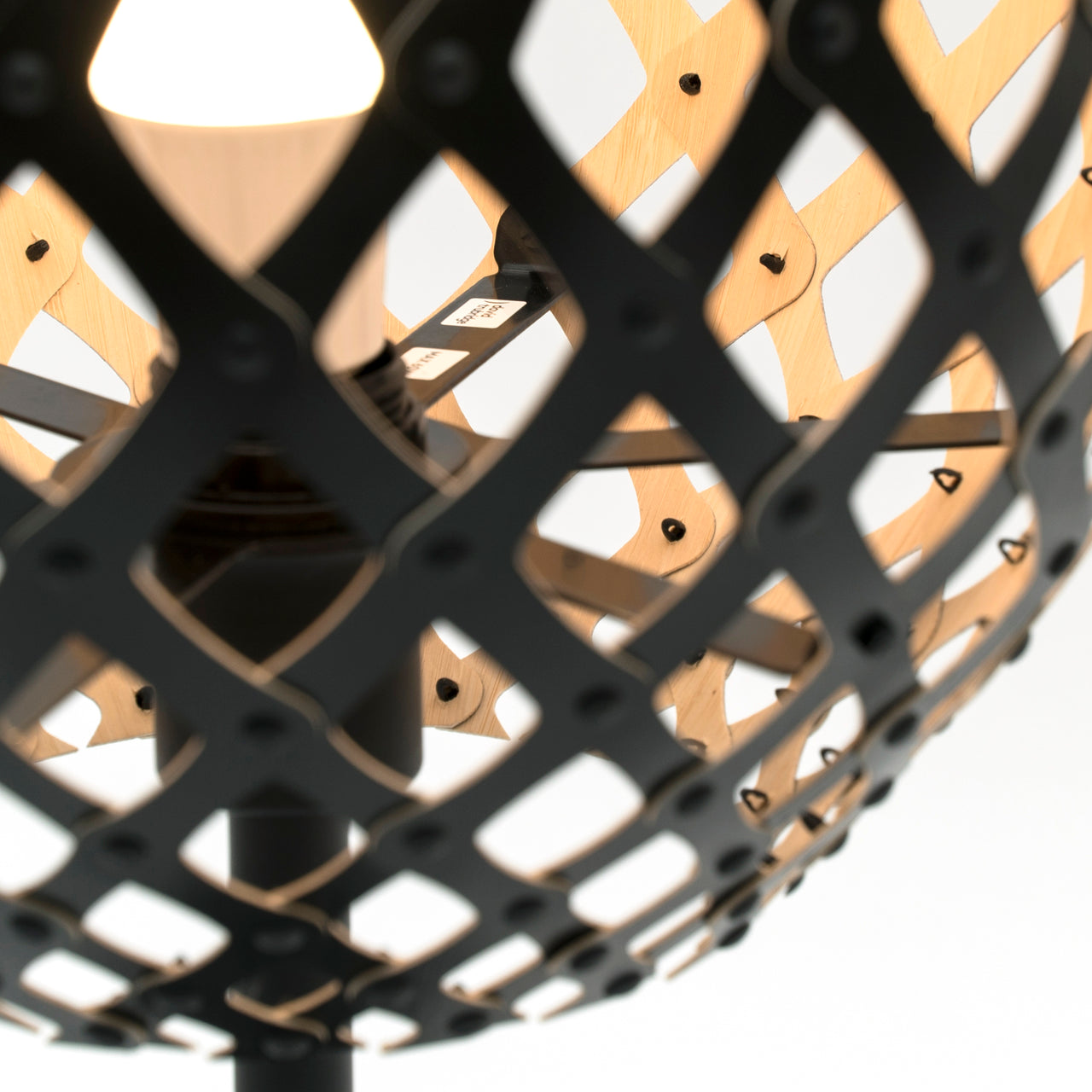 Coral Table Lamp: DI
