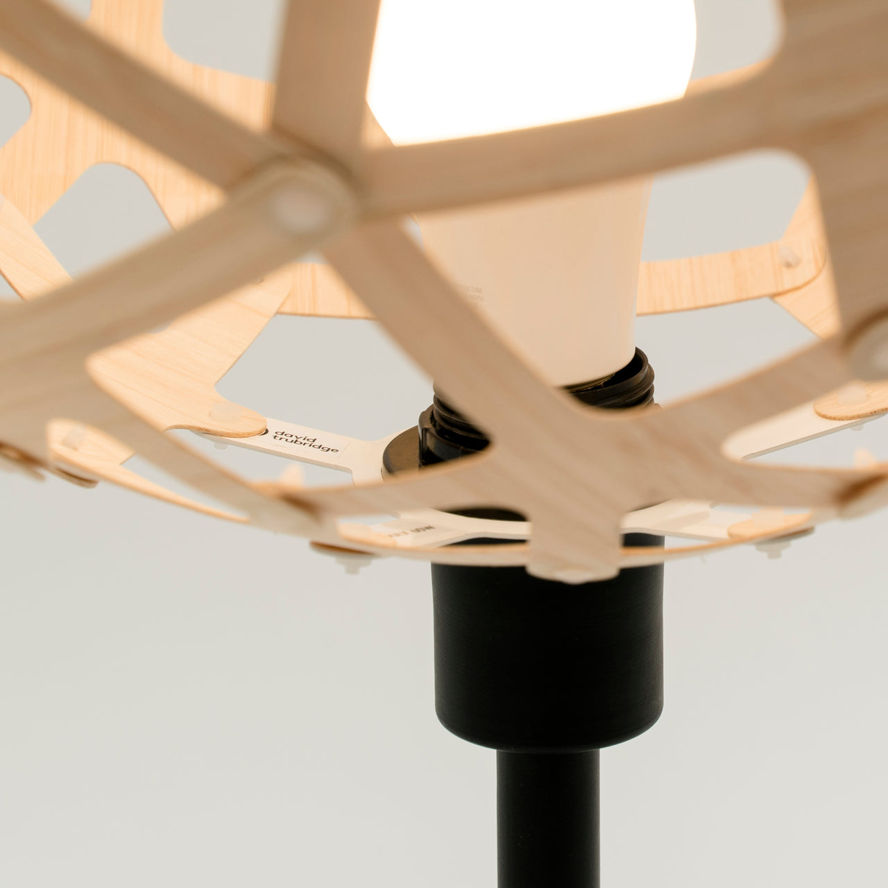Coral Table Lamp: DI