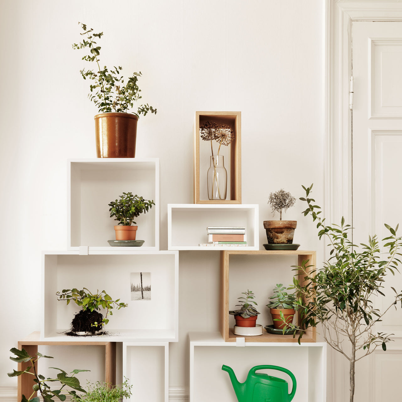 Corky Carafe: LS