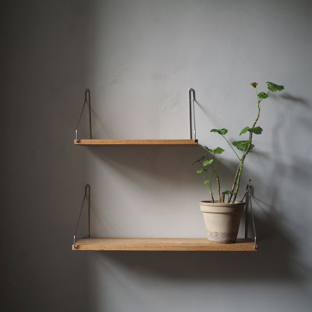 D20 Shelf: LS