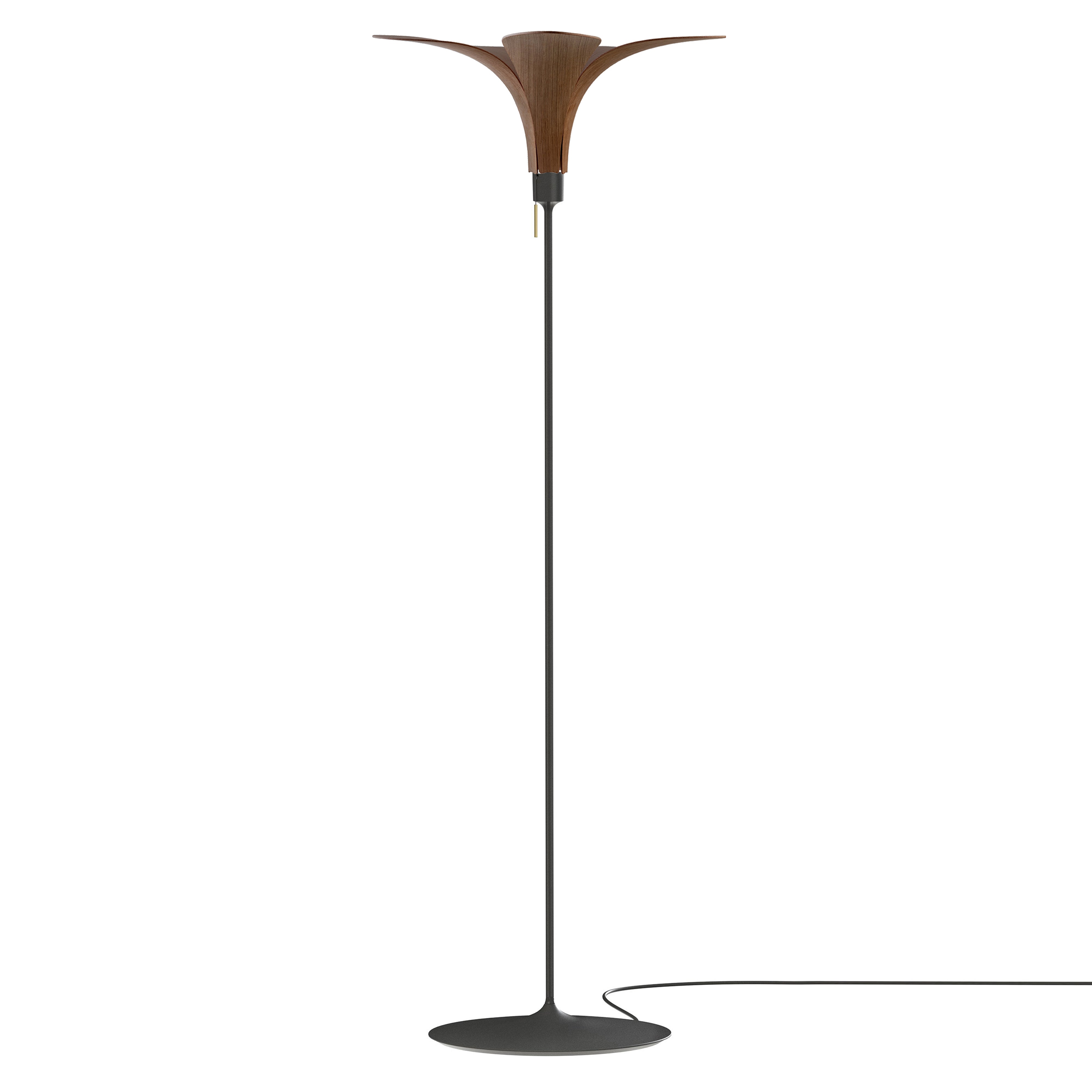 Jazz Champagne Floor Lamp: Dark Oak + White