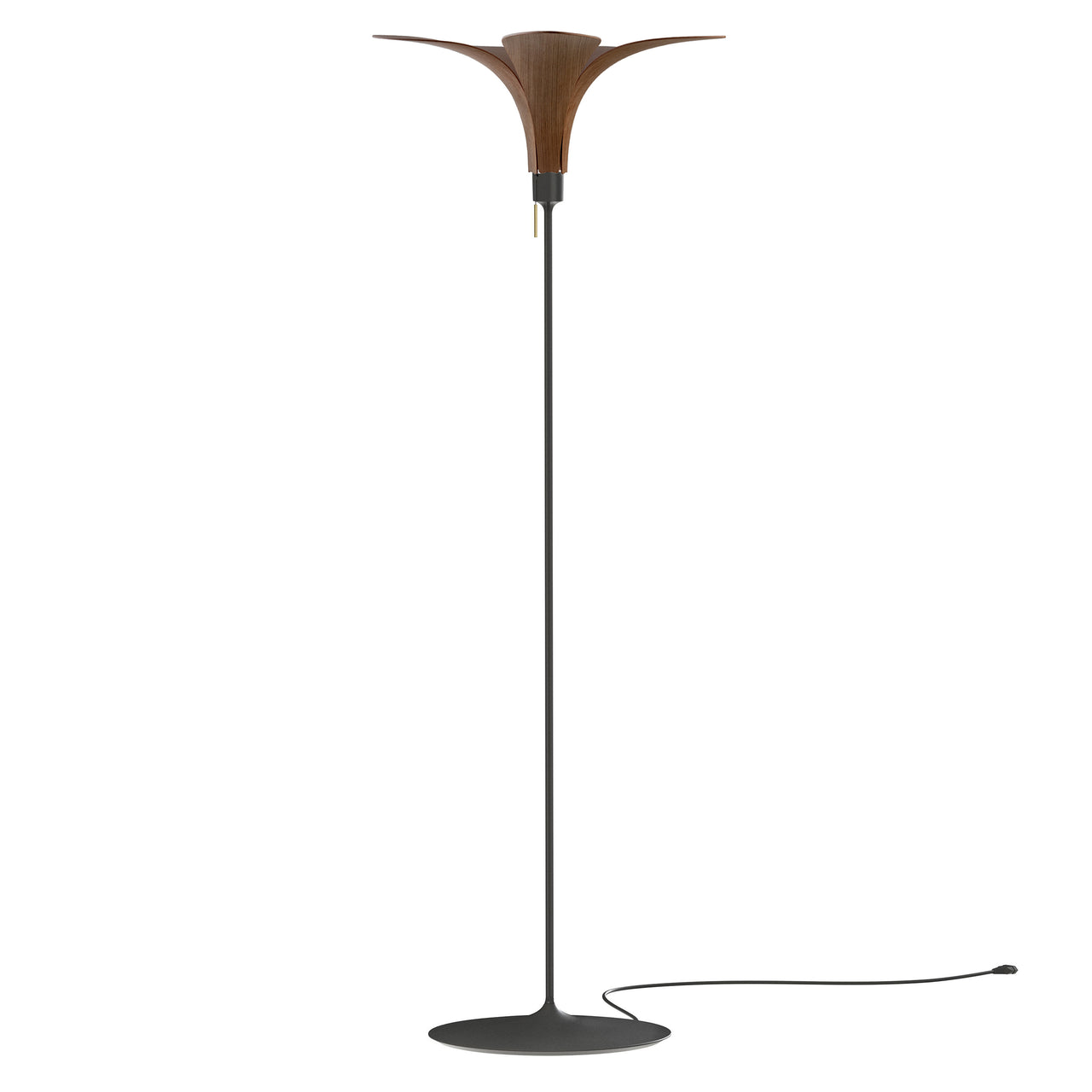 Jazz Champagne Floor Lamp: Dark Oak + Black