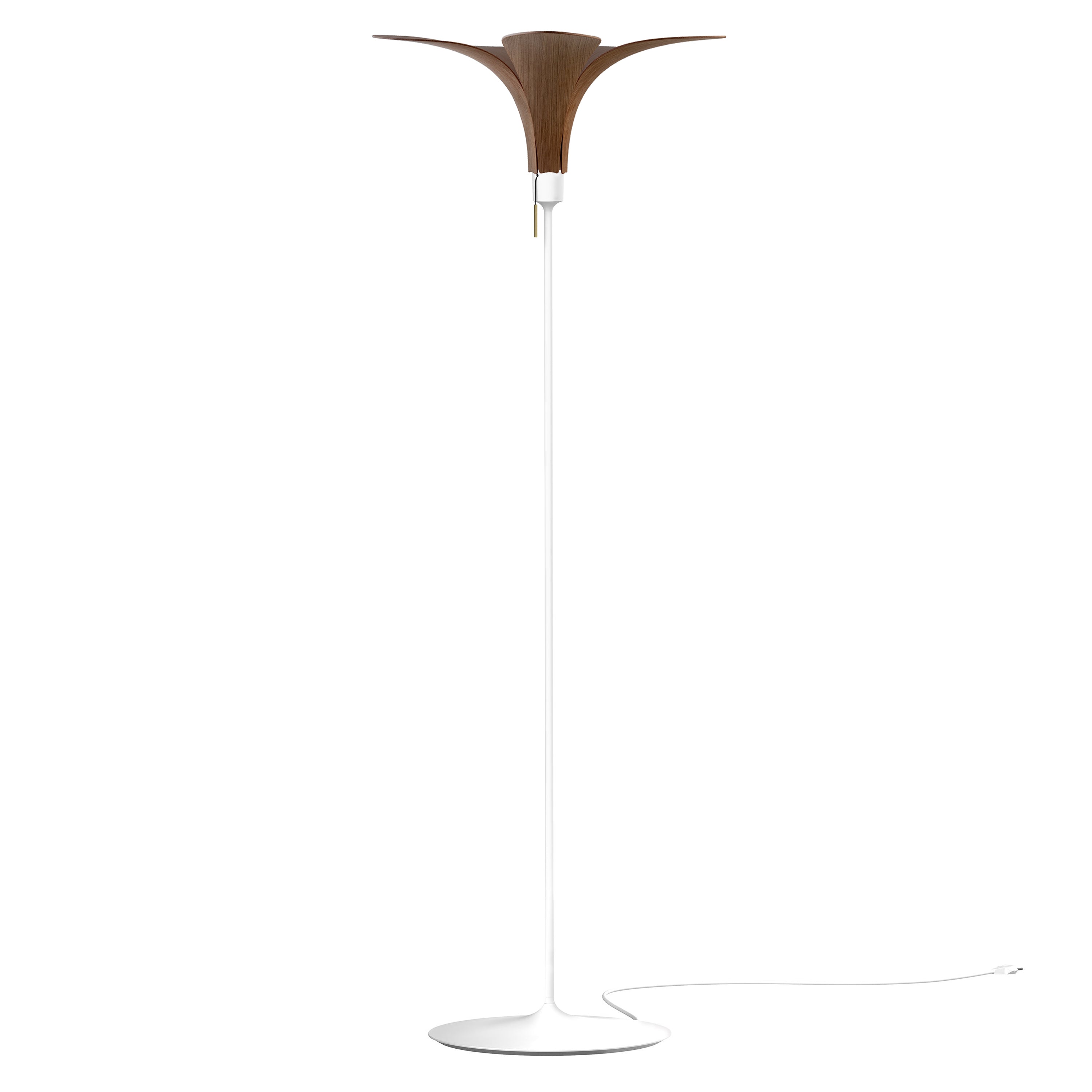 Jazz Champagne Floor Lamp: Dark Oak + White