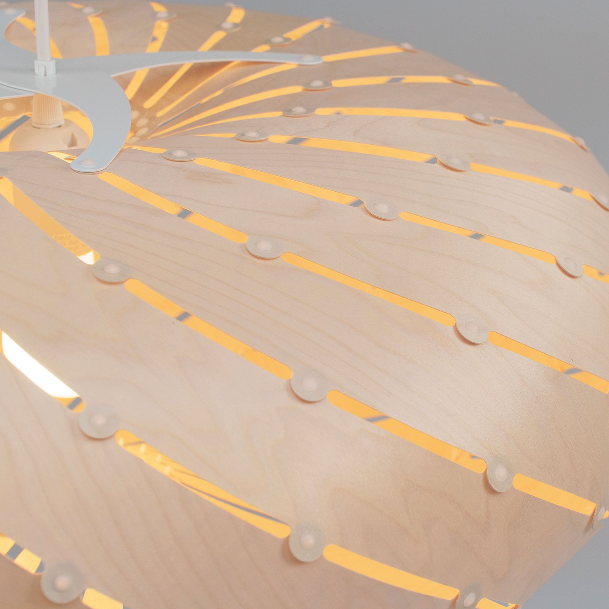 Ebb Pendant Series: Swell + DI