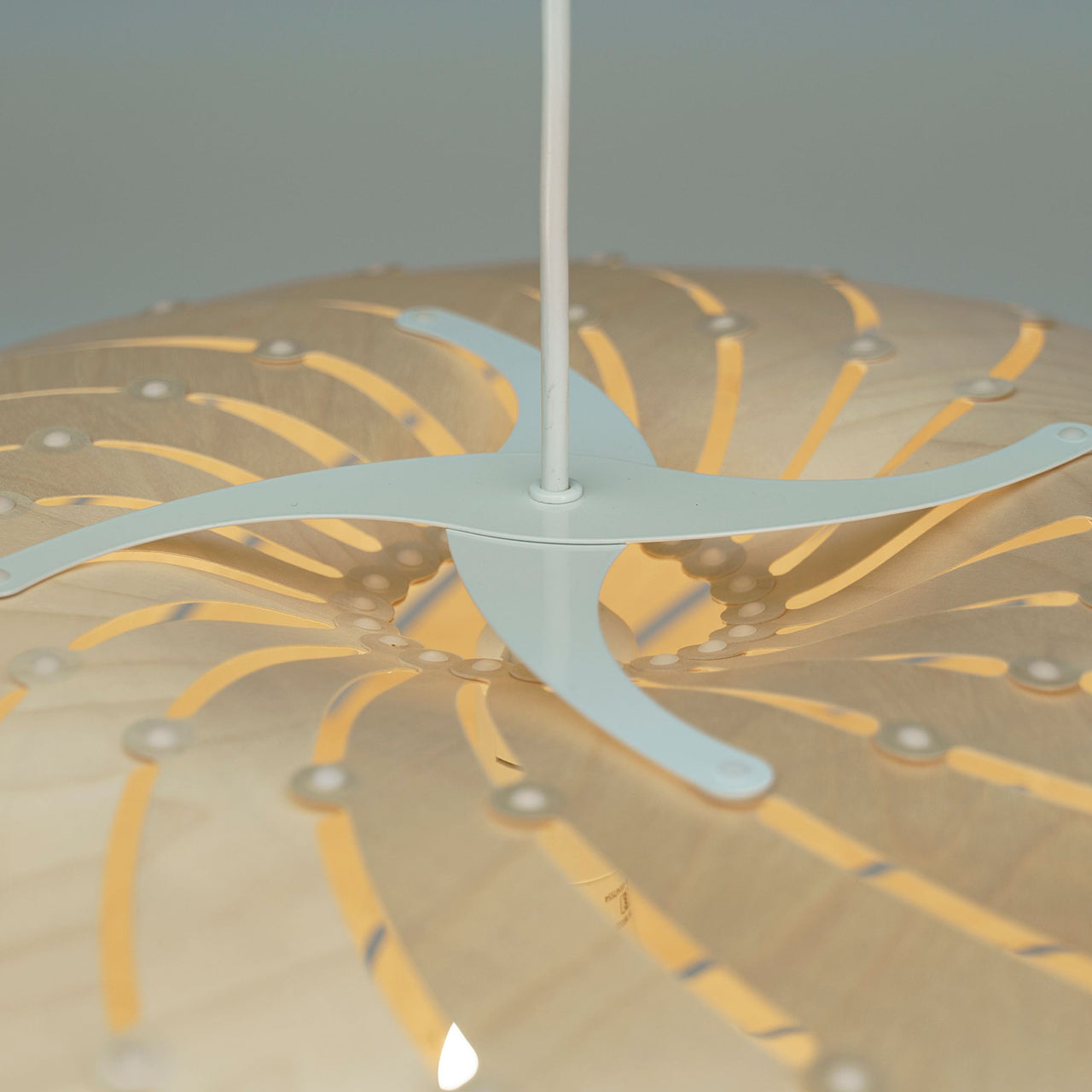 Ebb Pendant Series: Swell + DI