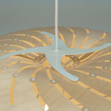 Ebb Pendant Series: Swell + DI