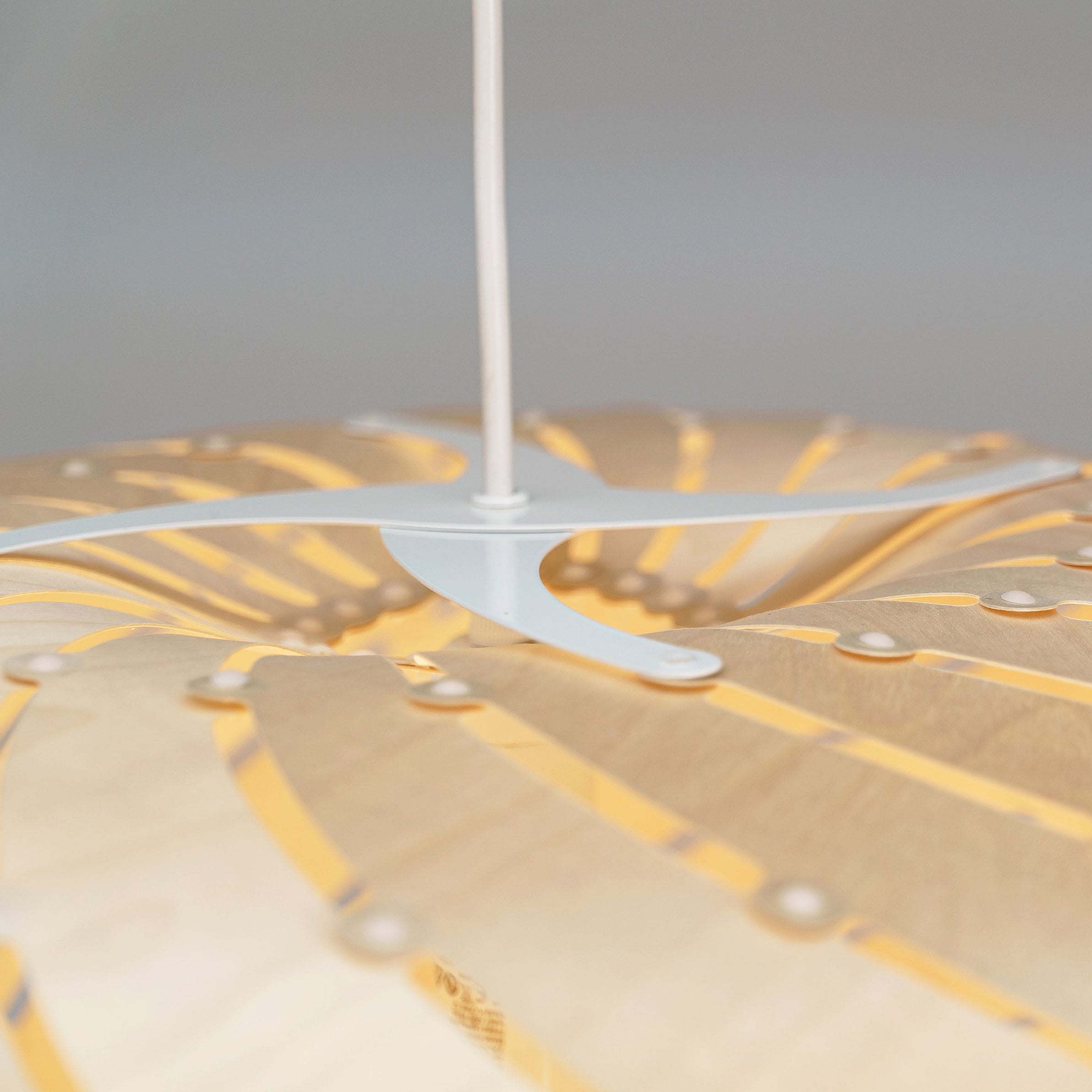 Ebb Pendant Series: Swell + DI