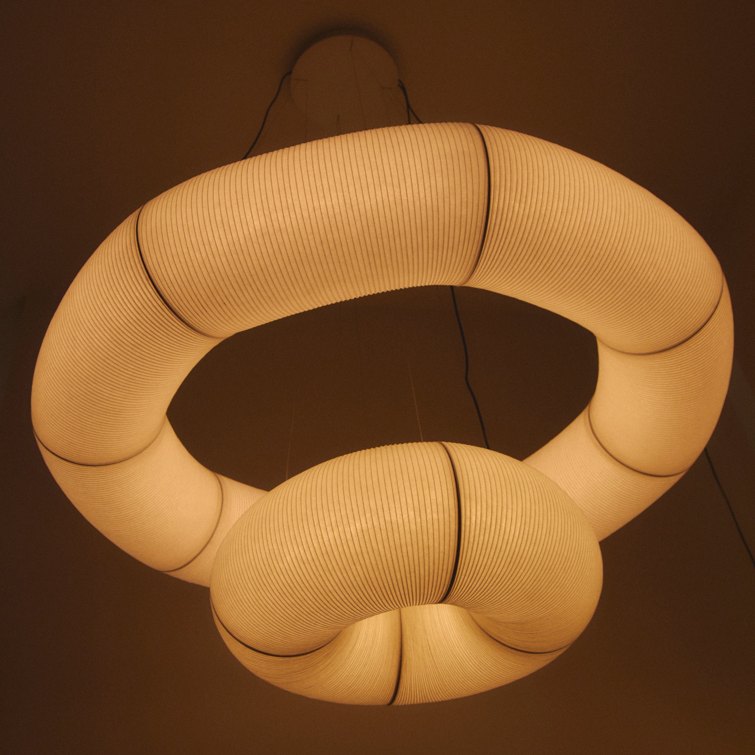 insitu