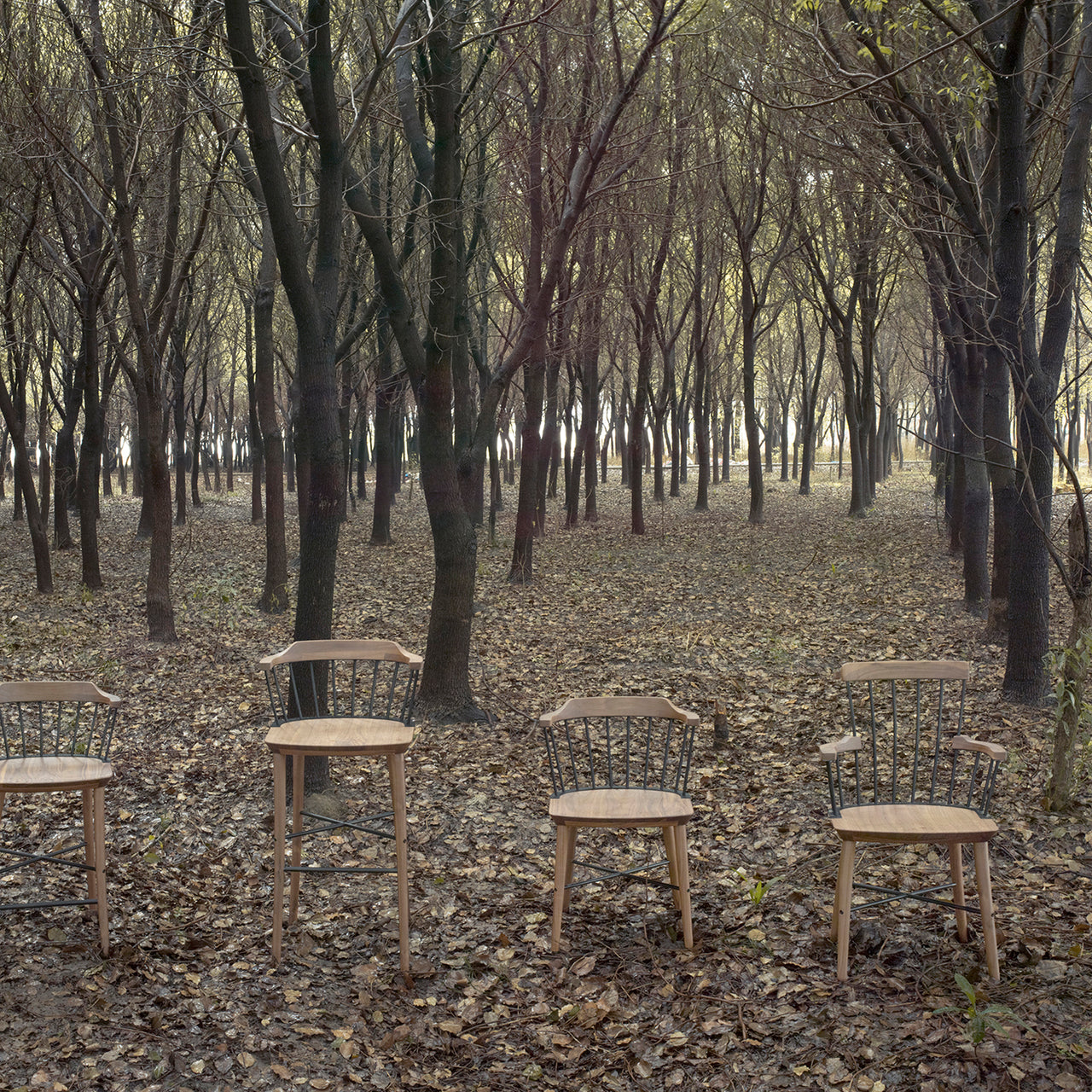 Exchange Dining Chair