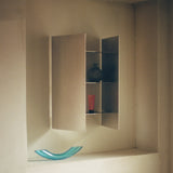 insitu