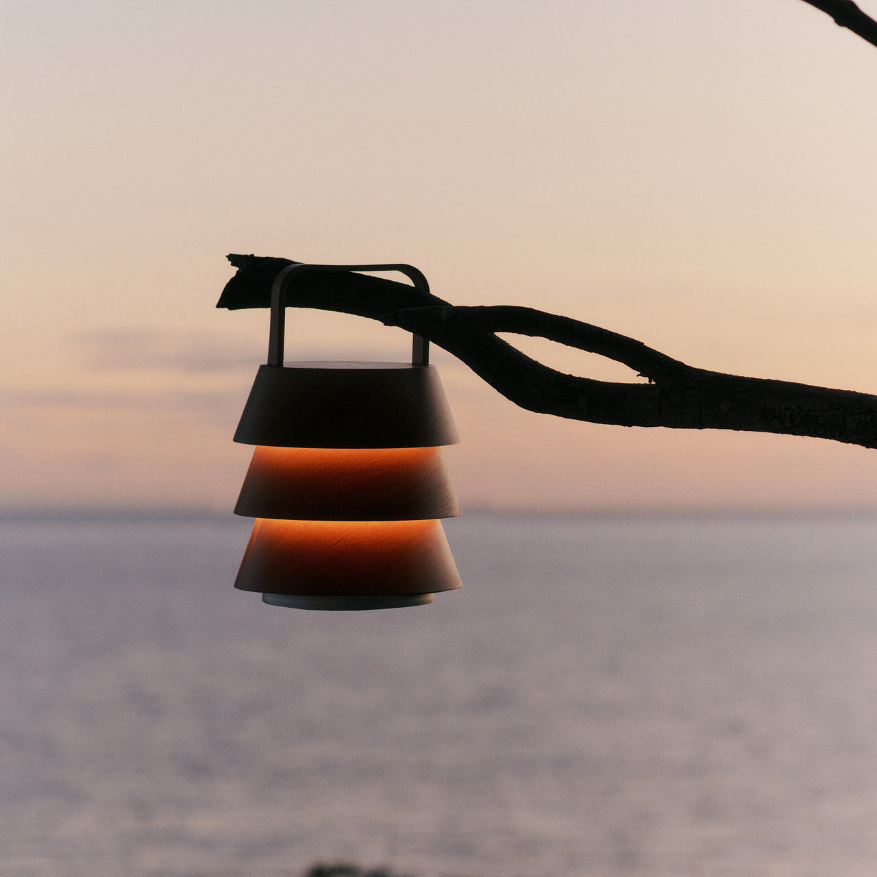 insitu