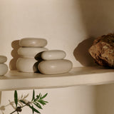 insitu