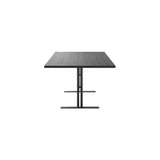 Ferric Table: 28.7