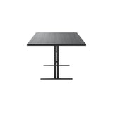 Ferric Table: 36.1