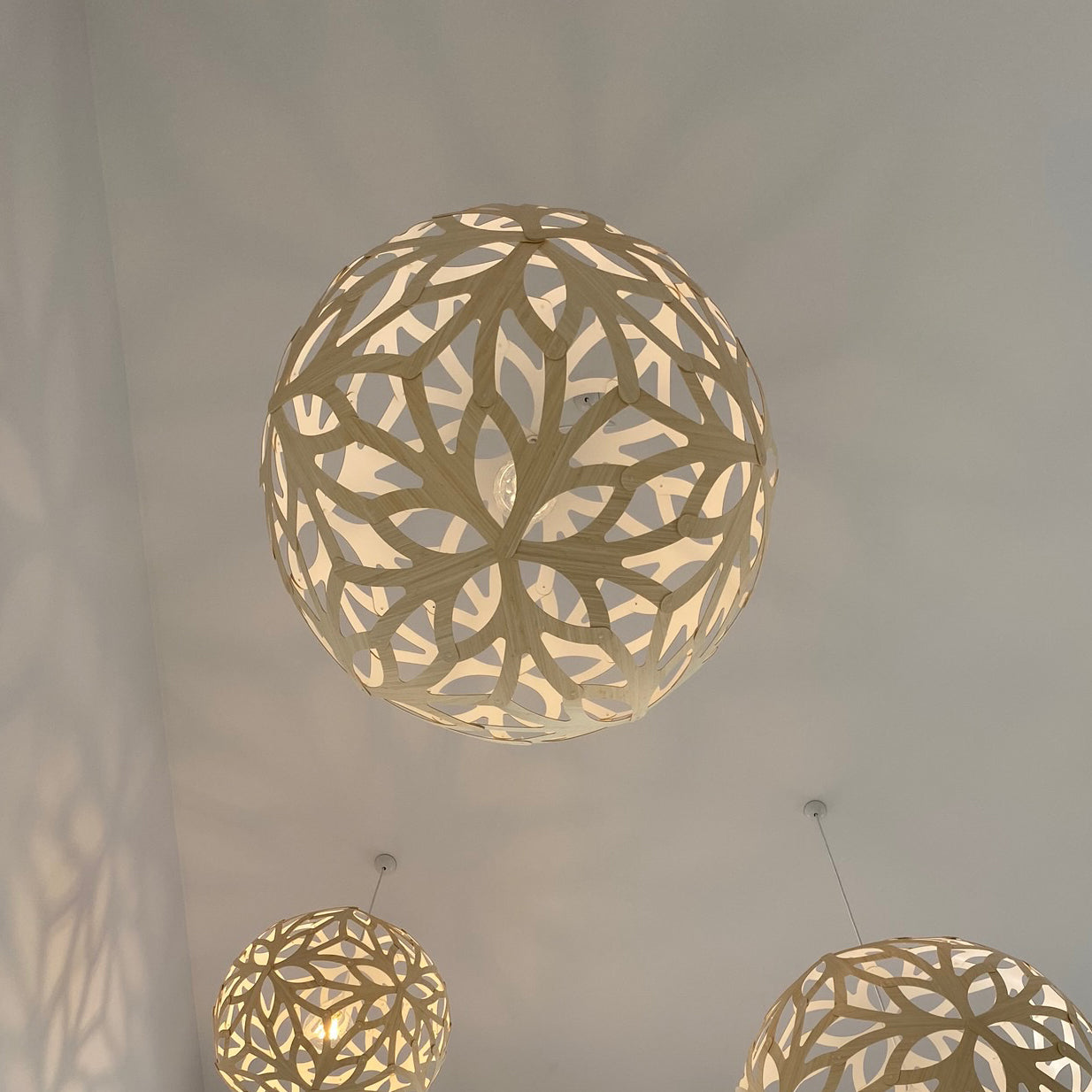insitu