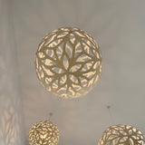 insitu