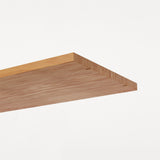 Cabinet Single Shelf: DI