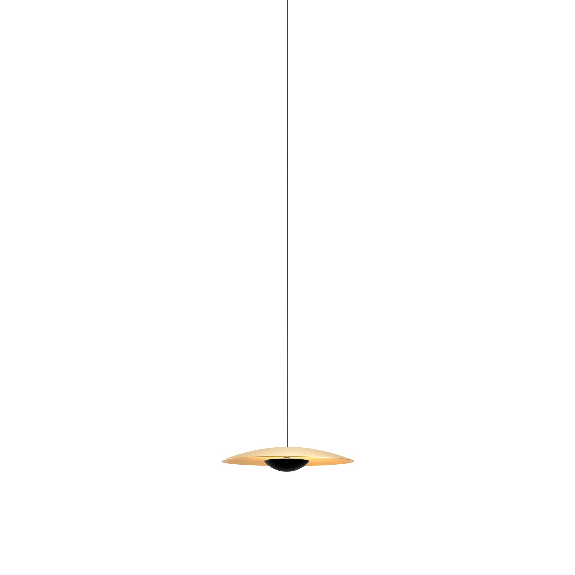 Ginger 20-24V Pendant Light: Brushed Brass