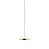 Ginger 20-24V Pendant Light: Brushed Brass