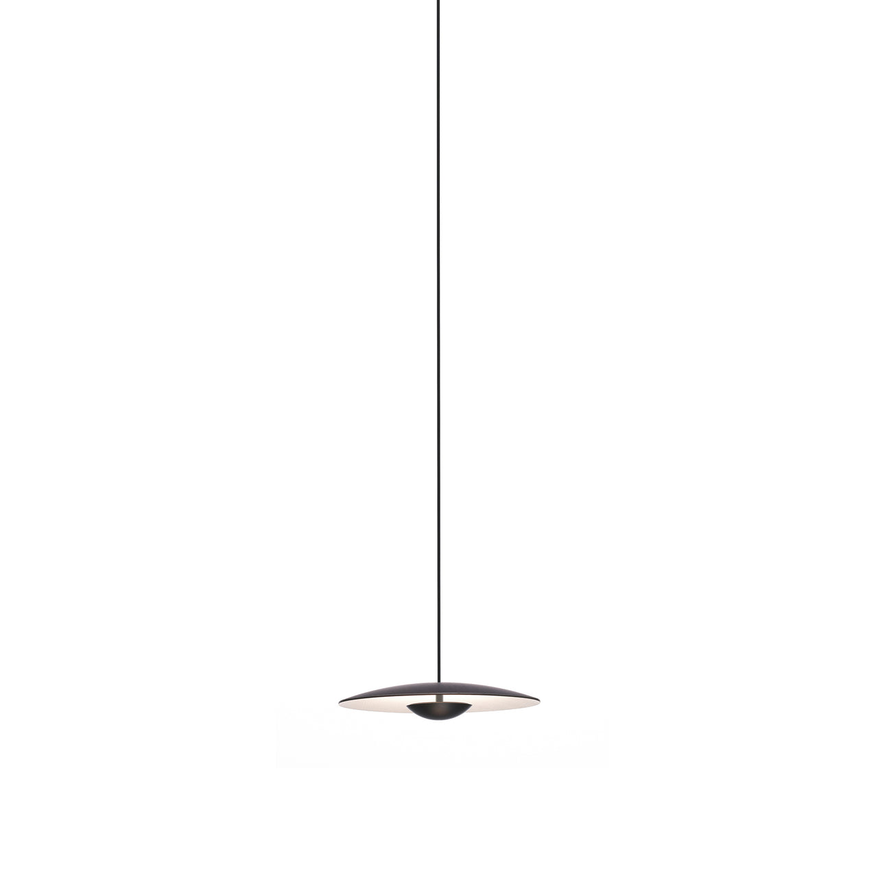 Ginger 20-24V Pendant Light: Wenge + White