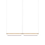 Tier 100 Horizontal Pendant Light: 2H + Anodized Silver + Amethyst