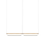 Tier 100 Horizontal Pendant Light: 2H + Anodized Silver + Emerald 