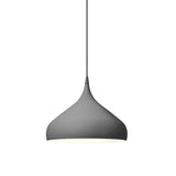 Spinning Pendant Light BH1+BH2: Large - 15.7